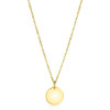 zinzi-gravures-zih2345g15-gold-plated-graveerhanger-met-ronde-vorm-15-mm-breed-hoogte-19-mm