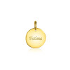 zinzi-gravures-zih2345g15-gold-plated-graveerhanger-met-ronde-vorm-15-mm-breed-hoogte-19-mm