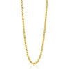 zinzi-zilc-j45g-gold-plated-schakelketting-jasseron-lengte-45-48-cm