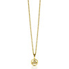 zinzi-zodiac-zihy-hanger-sterrenbeeld-gold-plated-met-zirkonia-hoogte-14-5-mm