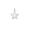 Zilveren gegraveerde ster hanger