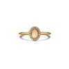 pandora-timeless-163800c01-graveerbare-ring-met-ovale-vorm-en-halo-van-zirkonia