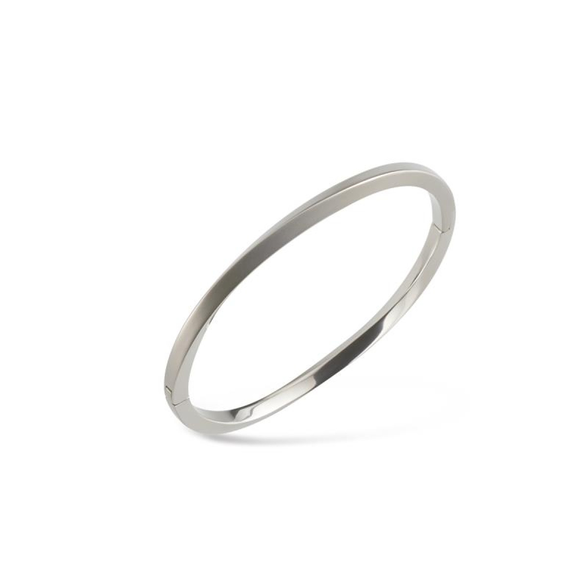 Boccia armband 03011-01 titanium bangle
