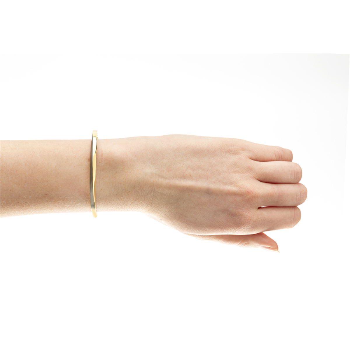 Boccia armband 03011-02 titanium bicolor bangle