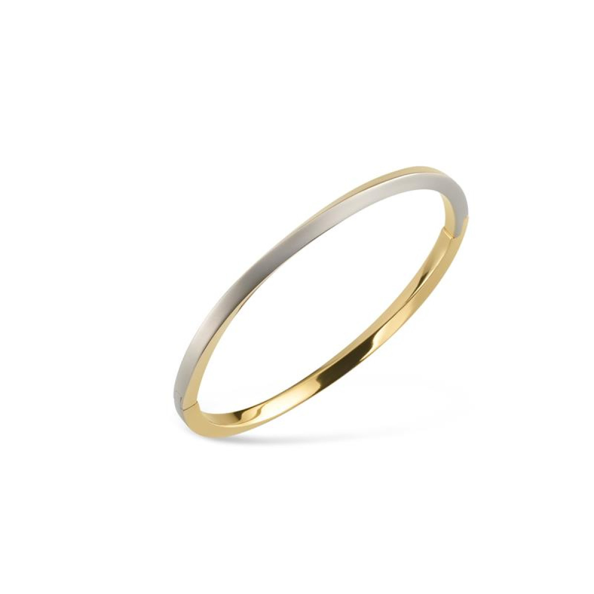 Boccia armband 03011-02 titanium bicolor bangle