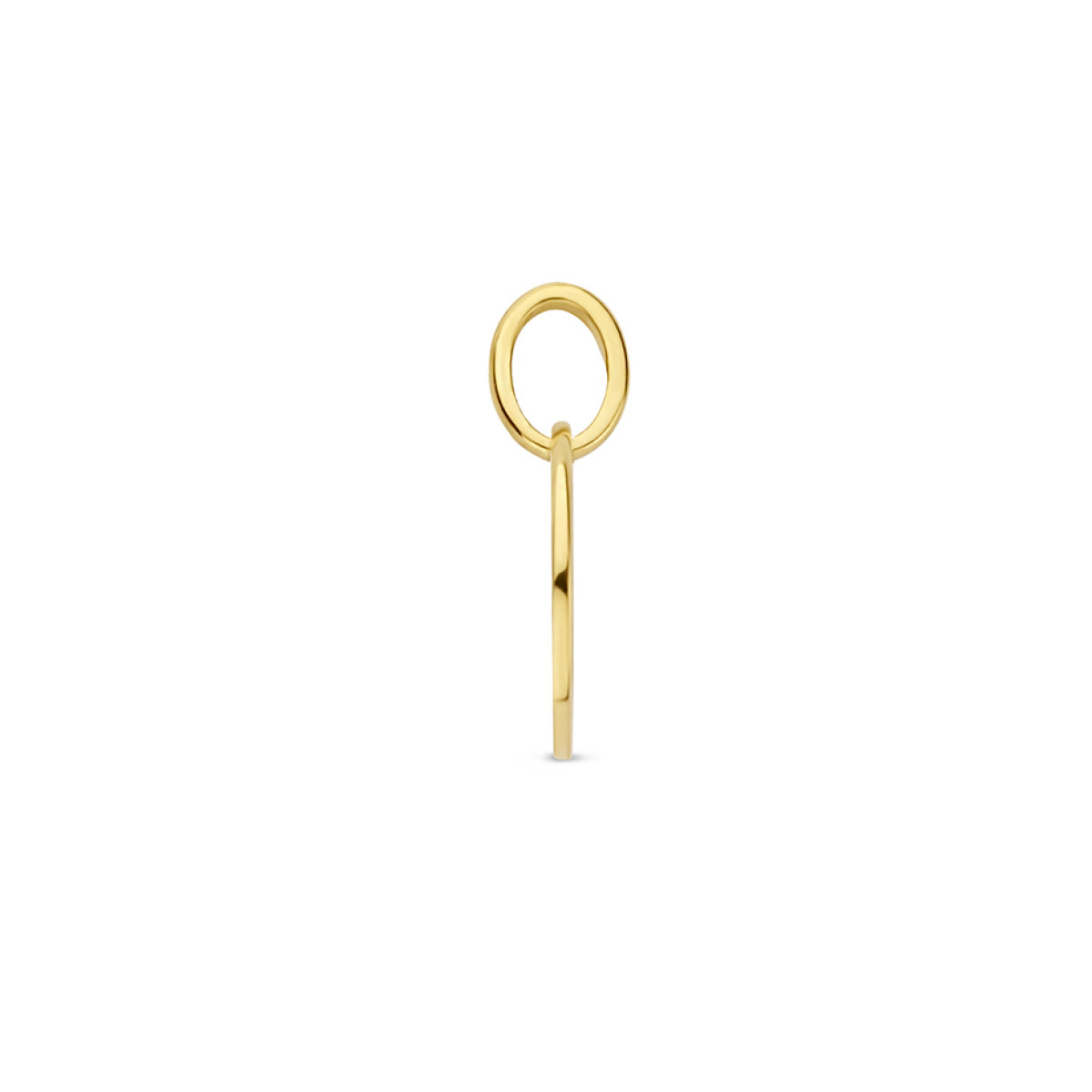 Gold plated sterrenbeeld hanger