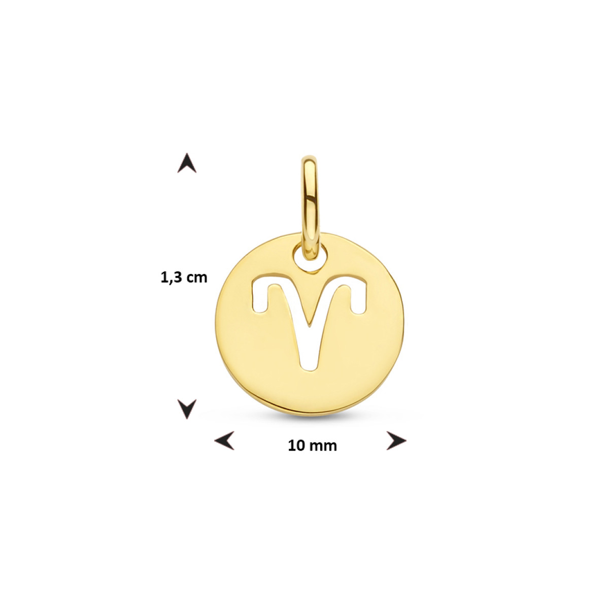 Gold plated sterrenbeeld hanger