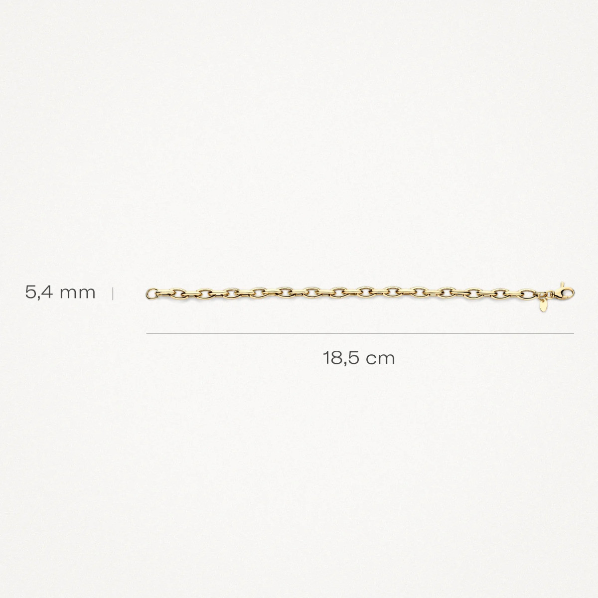 Blush 2263YGO gouden schakelarmband met jasseron schakels 5.4 mm breed - Lengte 18.5 cm