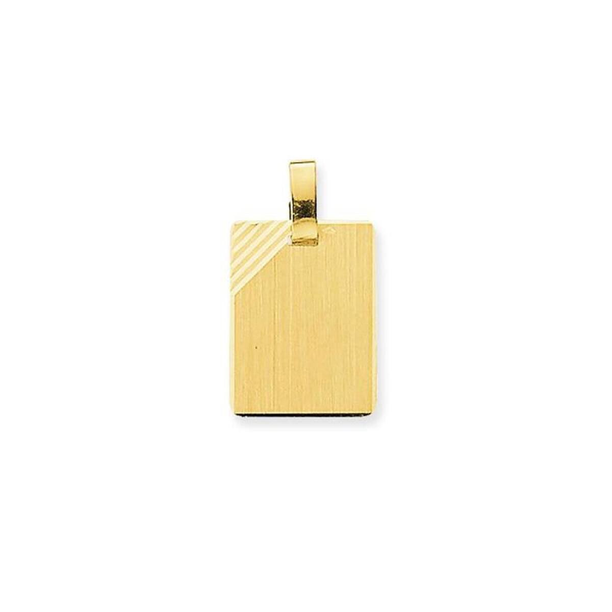 GLOW 242.0012.00 14-karaat gouden rechthoekige graveerhanger met diagonale strepen 14 mm breed