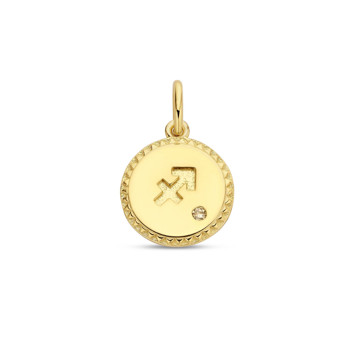 Gold plated sterrenbeeld hanger met zirkonia