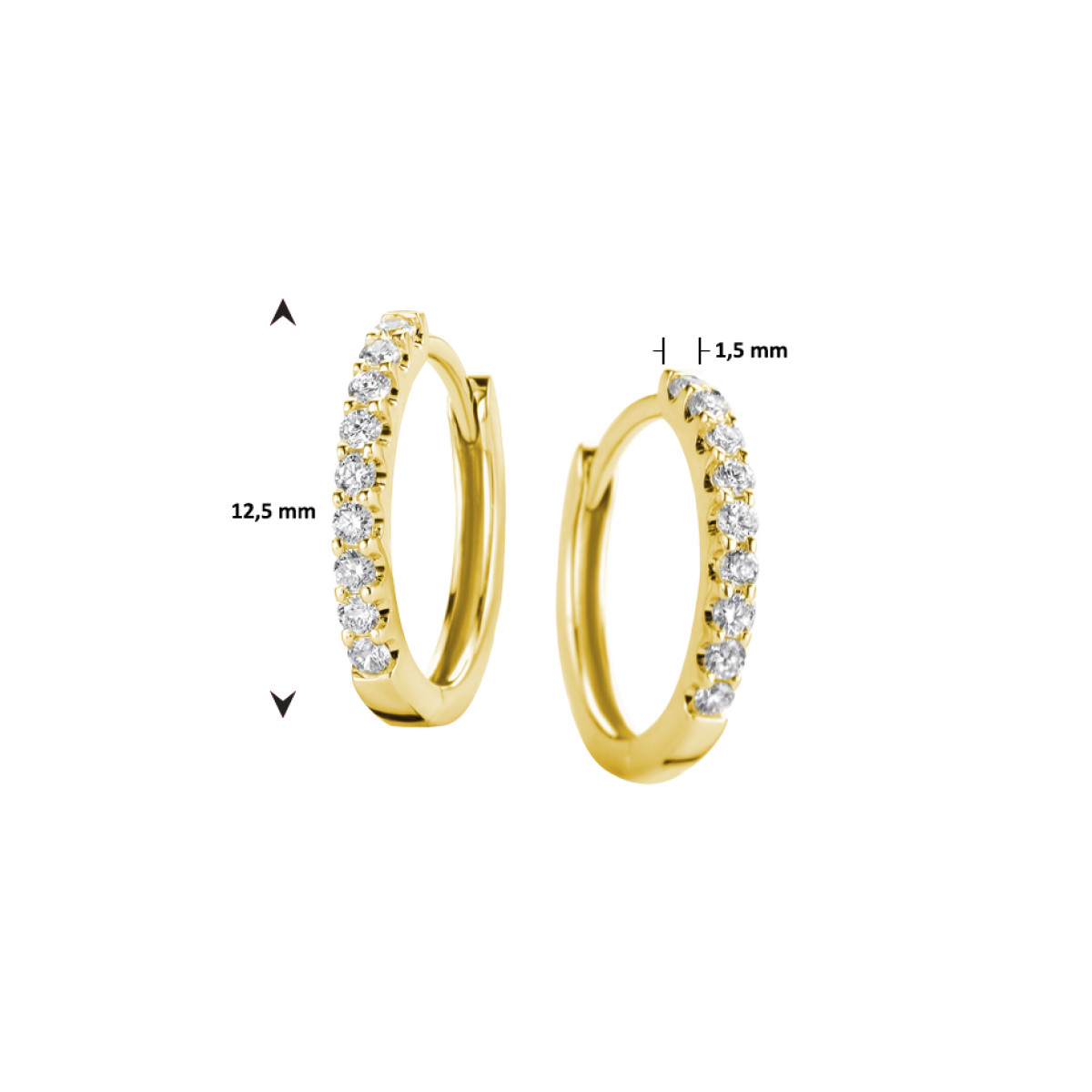 Edelsteen oorbellen met diamant in het goud 12.5 mm