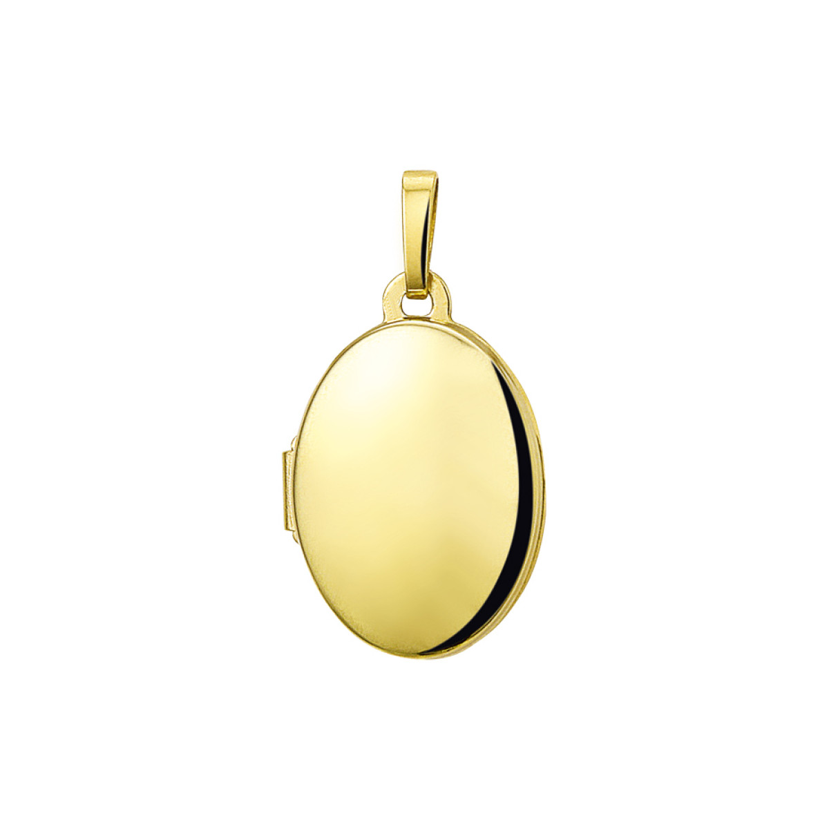 Gouden medaillon ovaal glanzend 15x11 mm