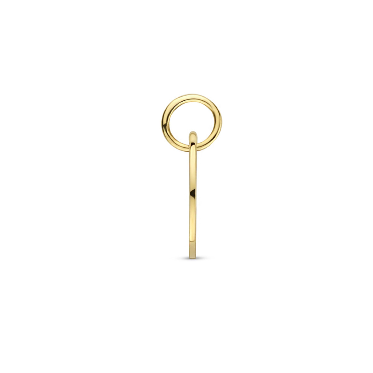 Gouden sterrenbeeld hanger opengewerkt