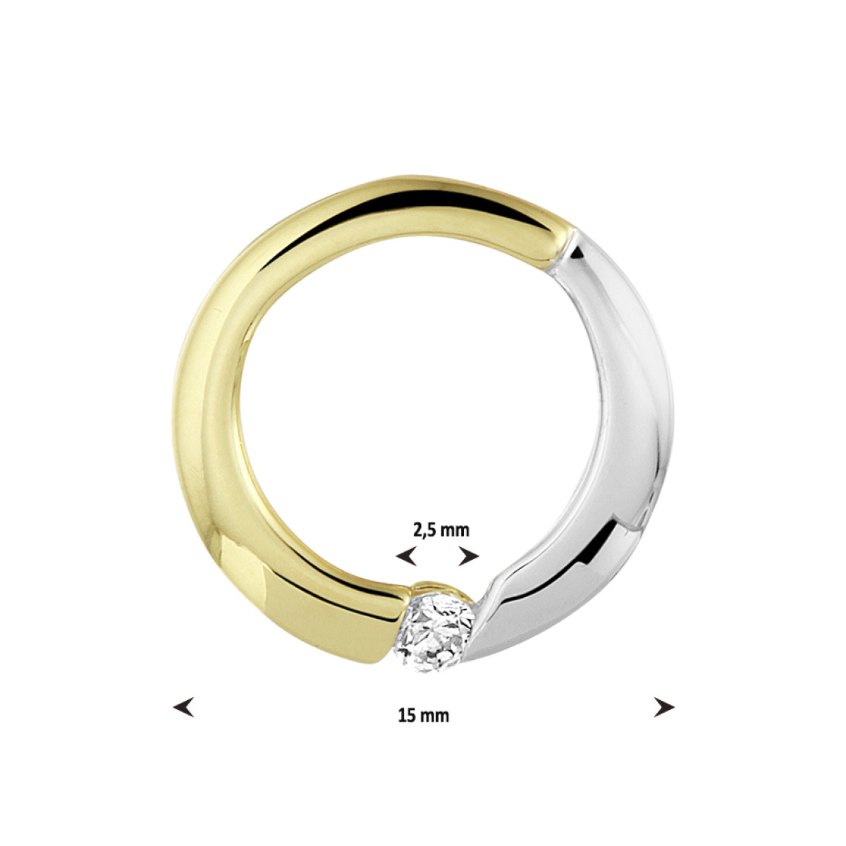Ronde gouden hanger zirkonia