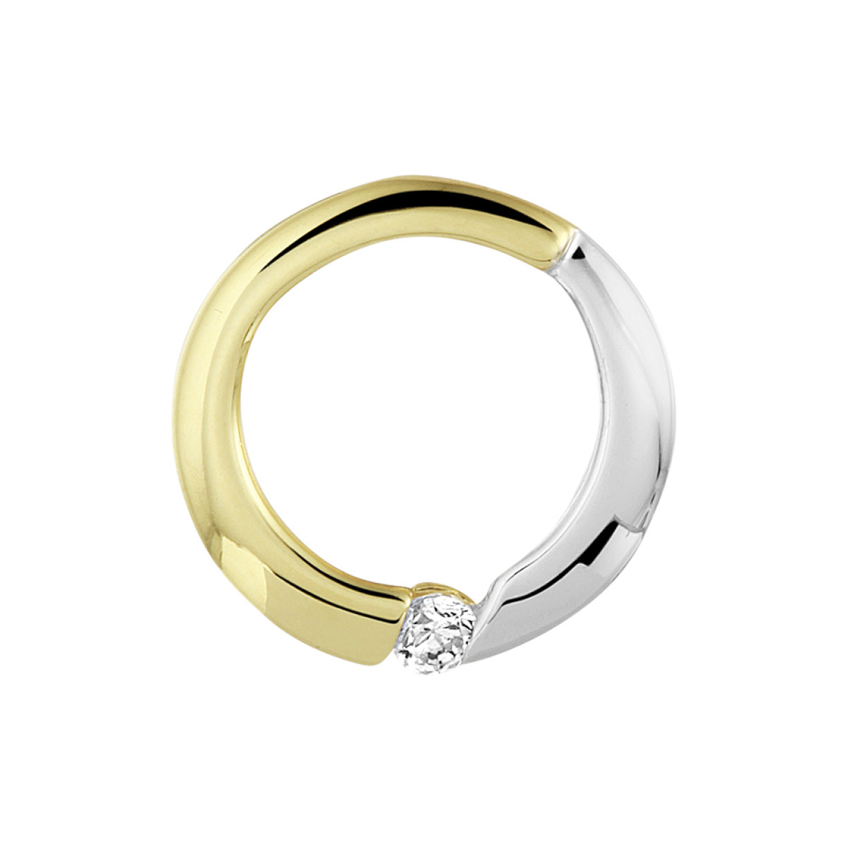 Ronde gouden hanger zirkonia