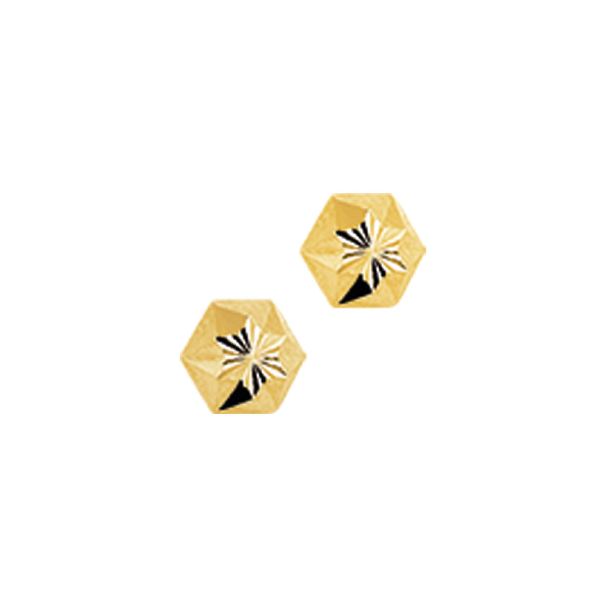 Set oorknoppen in het goud
