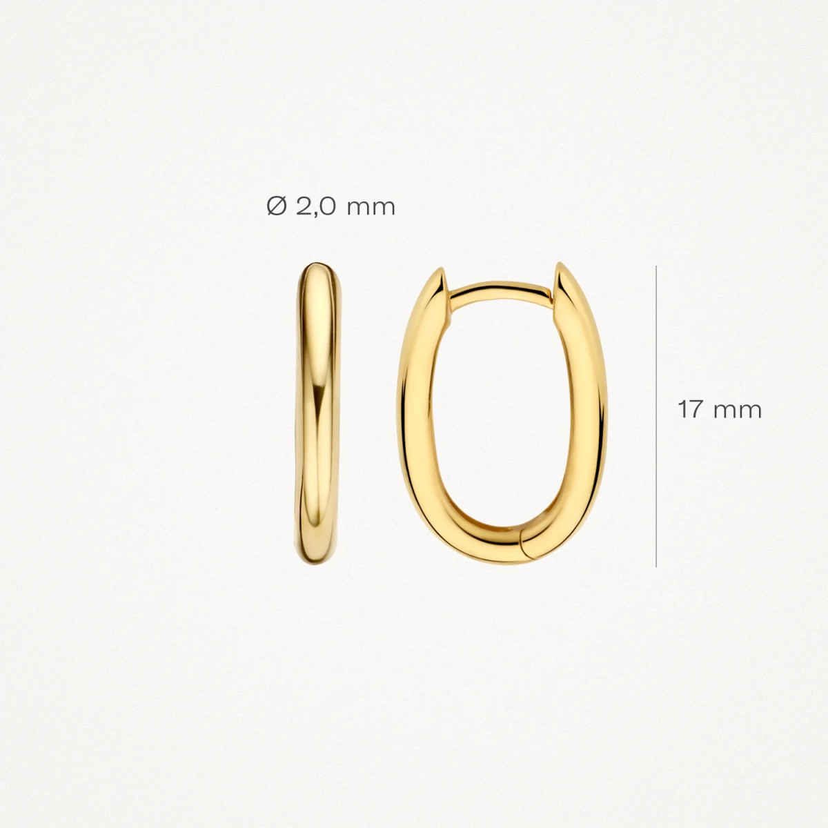 Blush 7219YGO 14-karaat gouden oorringen met ovale vorm 2 mm breed - Hoogte 17 mm