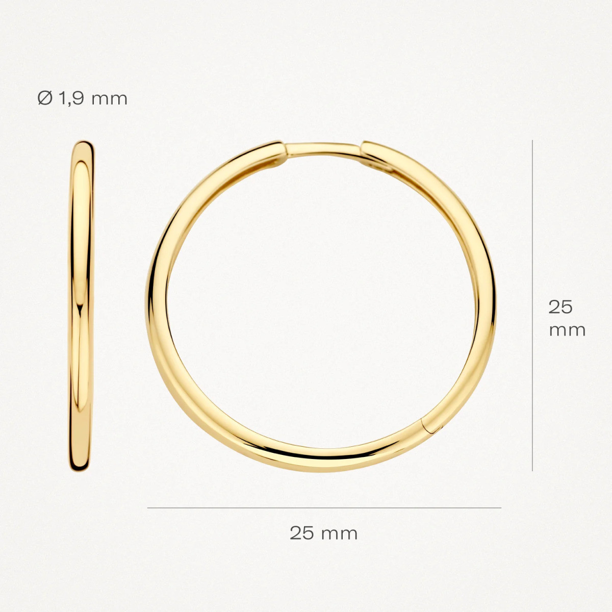 Blush 7311YGO 14-karaat gouden klapoorringen rond 1.9 mm breed - Diameter 25 mm
