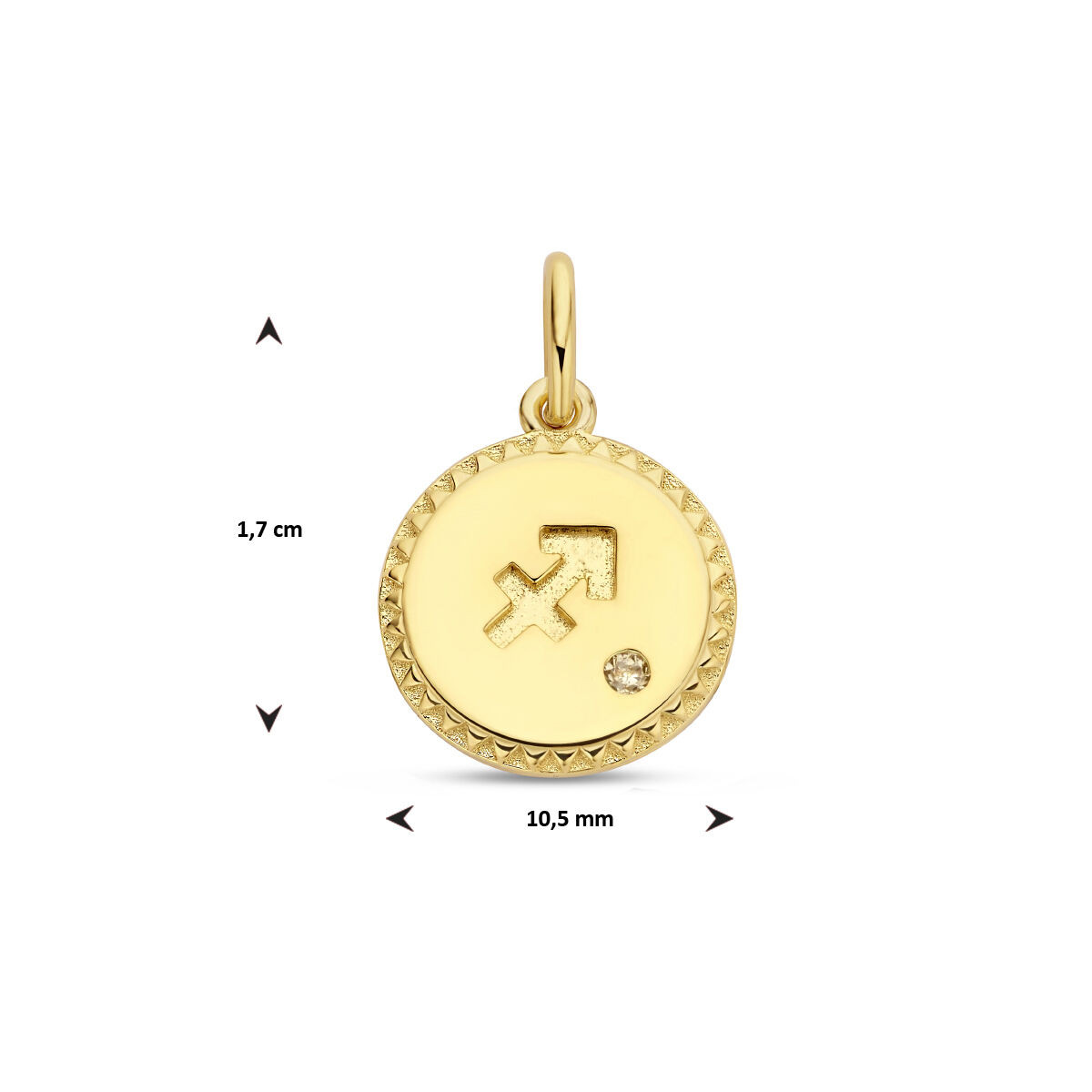 Gold plated sterrenbeeld hanger met zirkonia