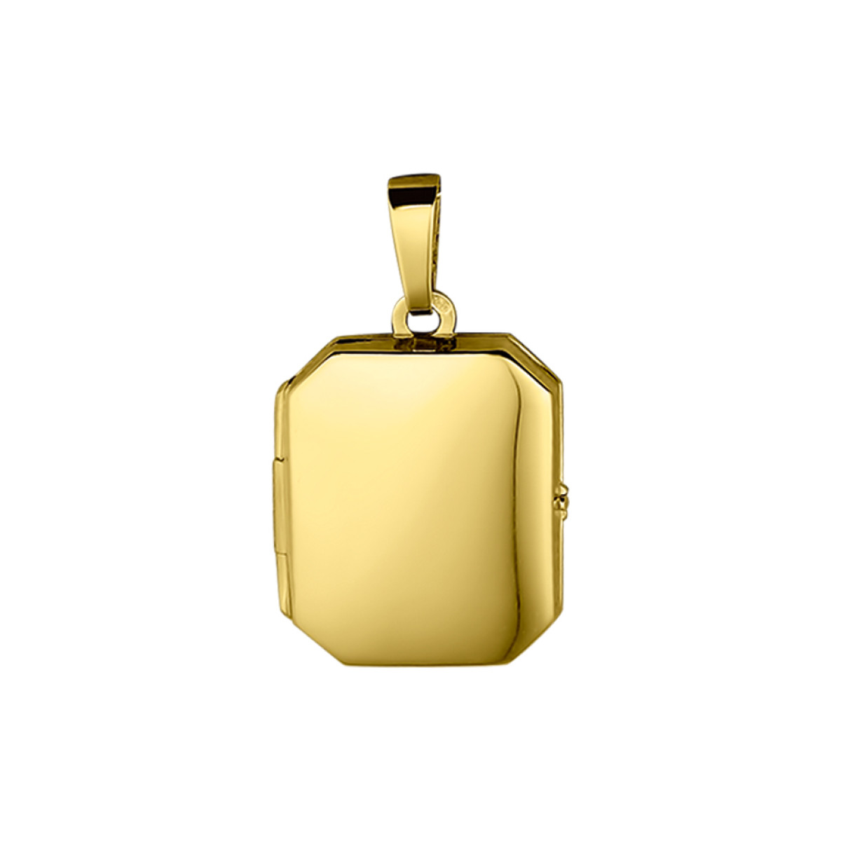 Gouden medaillon rechthoek glanzend 21x17 mm