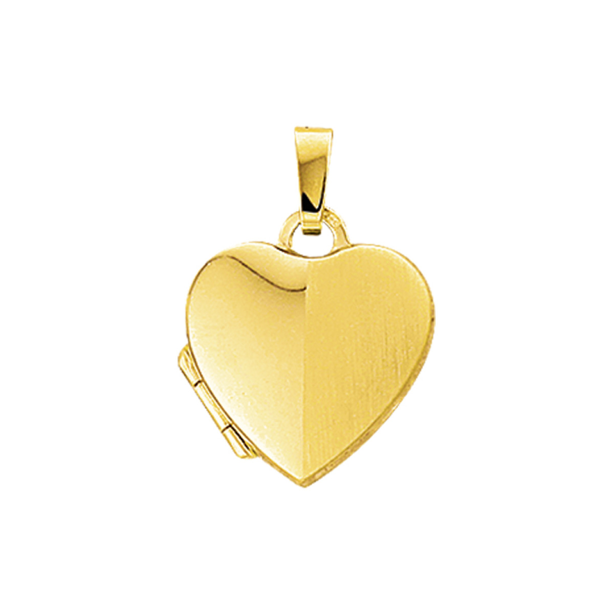 Gouden medaillion hart mat en glanzend 14.5x14.5 mm