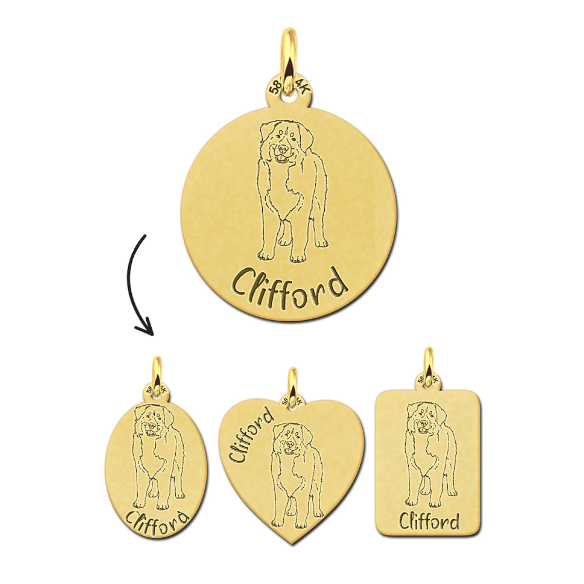 Names4ever 14-karaat gouden honden hanger met naam - Pitbull