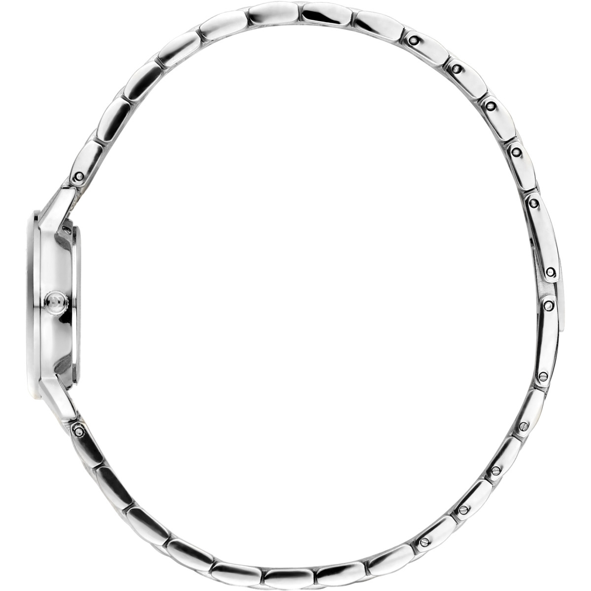 Danish Design Akilia Mini Husky Hazel IV94Q1268 Stalen dameshorloge zilverkleurig en bruin