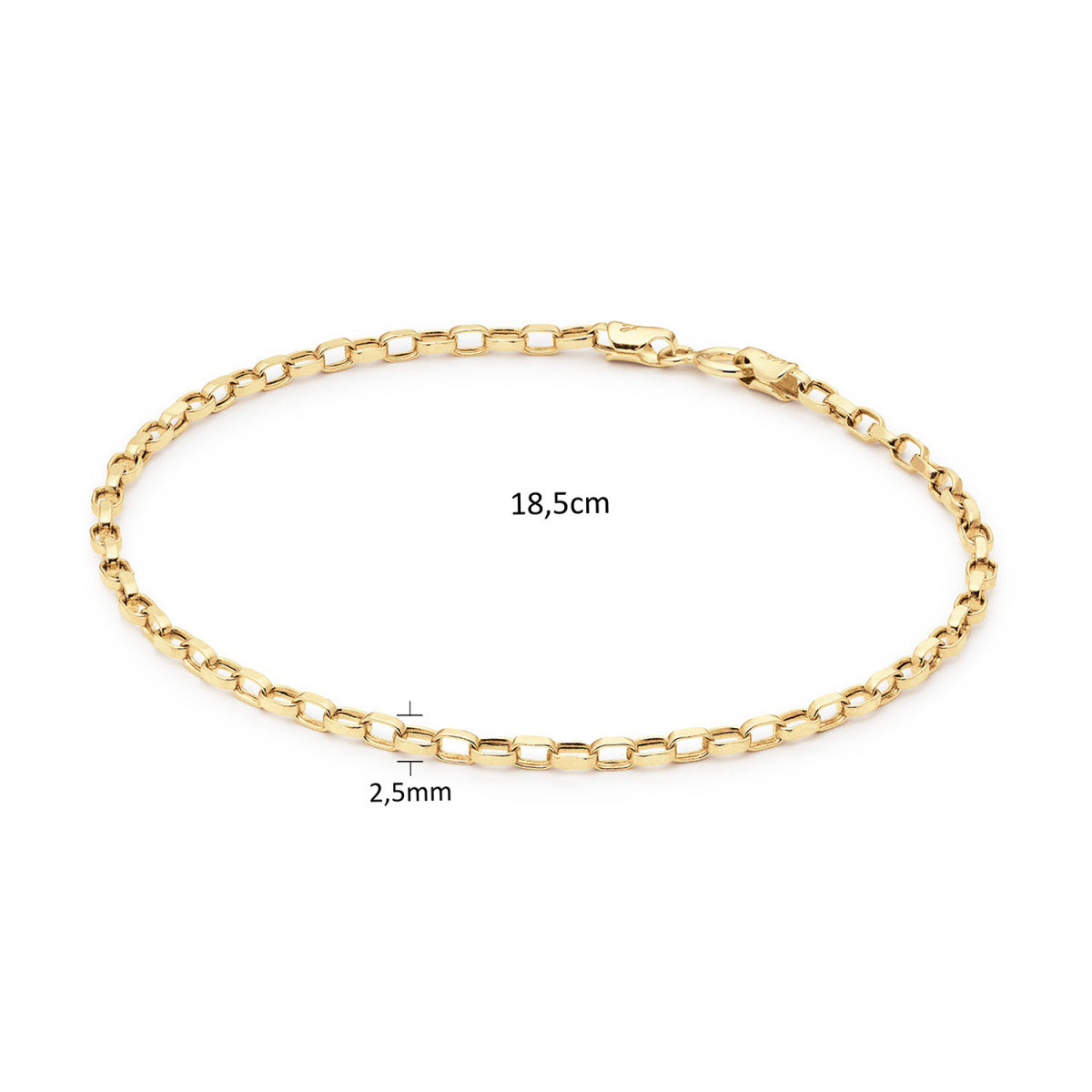 Jackie Gold Cannes JKB25.505 Armband met ankerschakel van 14-karaat geelgoud - Lengte 18.5 cm