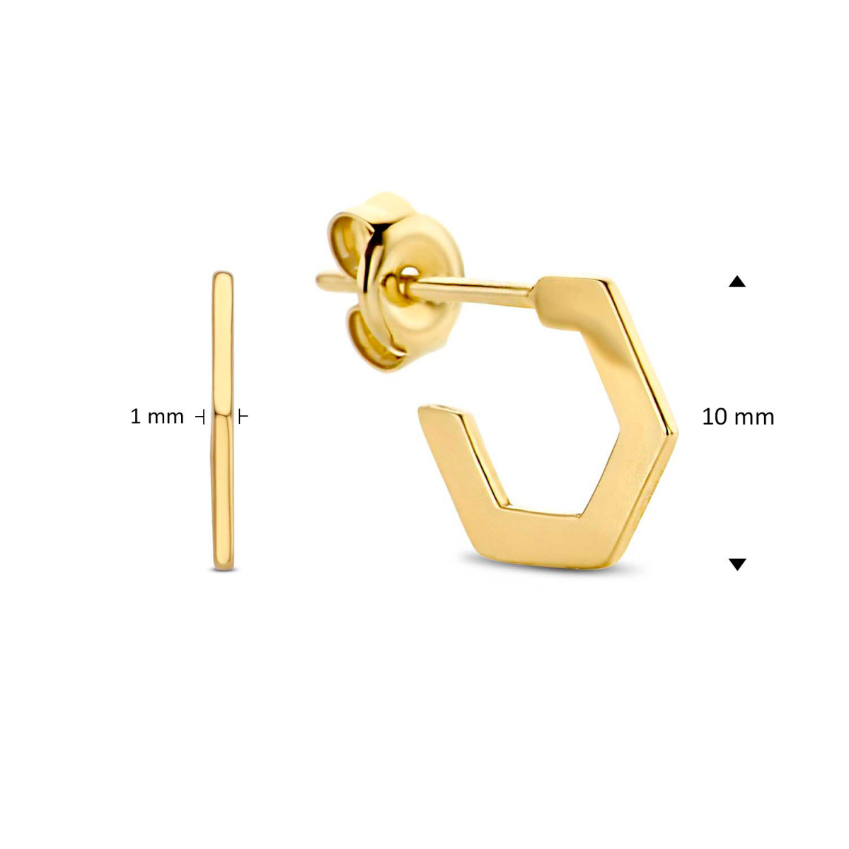 Jackie Gold JKE20.037 14-karaat gouden stekeroorringen vijfhoekig glanzend - Hoogte 10 mm