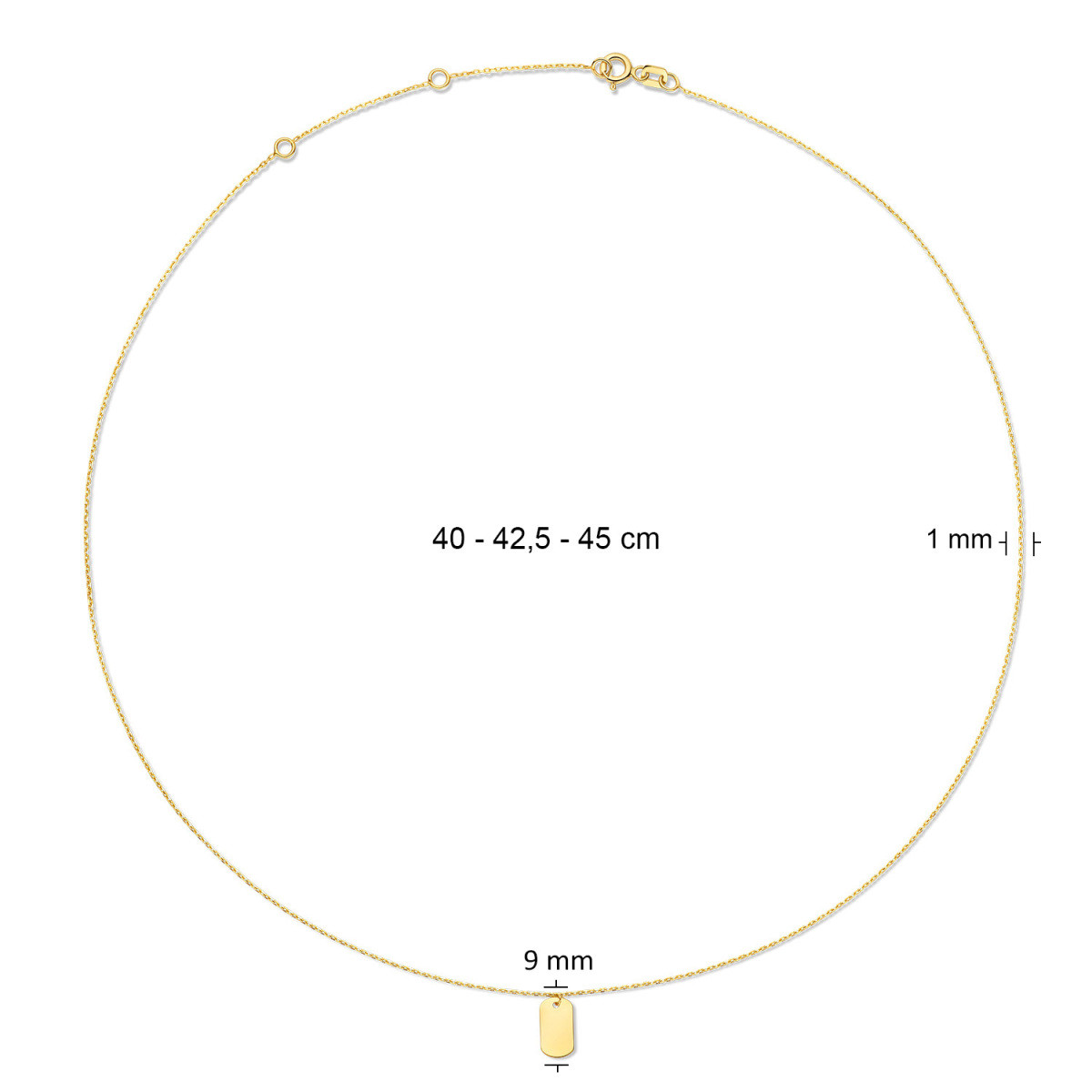 Jackie Gold JKN23.354 14-karaat gouden ketting met graveerbare hanger - Lengte 40-42.5-45 cm