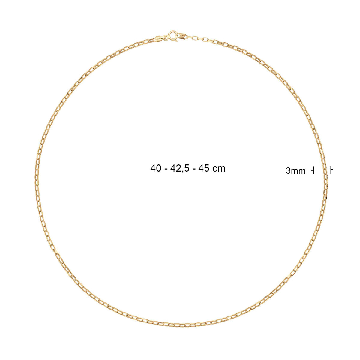Jackie Gold JKN25.505 schakelketting van 14-karaat goud ovaal 3 mm glanzend - Lengte 40-42.5-45 cm