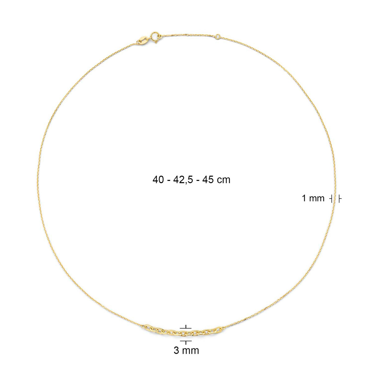 Jackie Gold Positano JKN22.203 Ketting van 14-karaat goud met ankerschakel-design - Lengte 40-45 cm