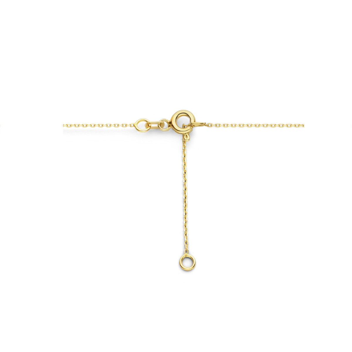 14-karaat anker ketting met klavertje vier - Lengte 42-45 cm