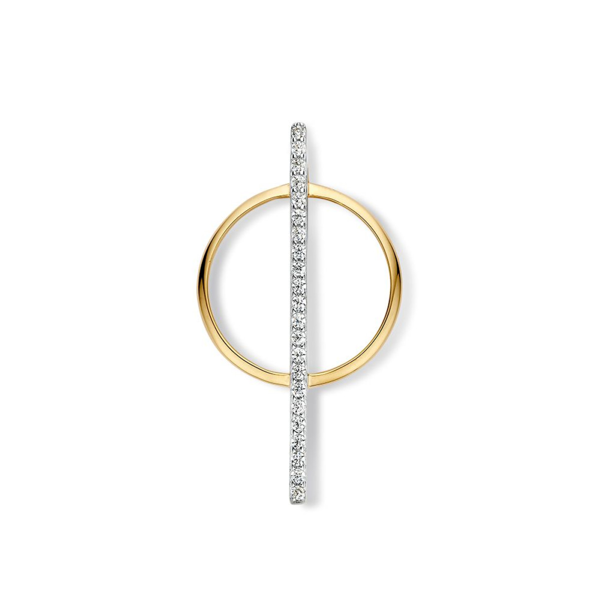 14-karaat bicolor hanger geelgoud en witgoud rondje met streep - 24 mm x 32 mm