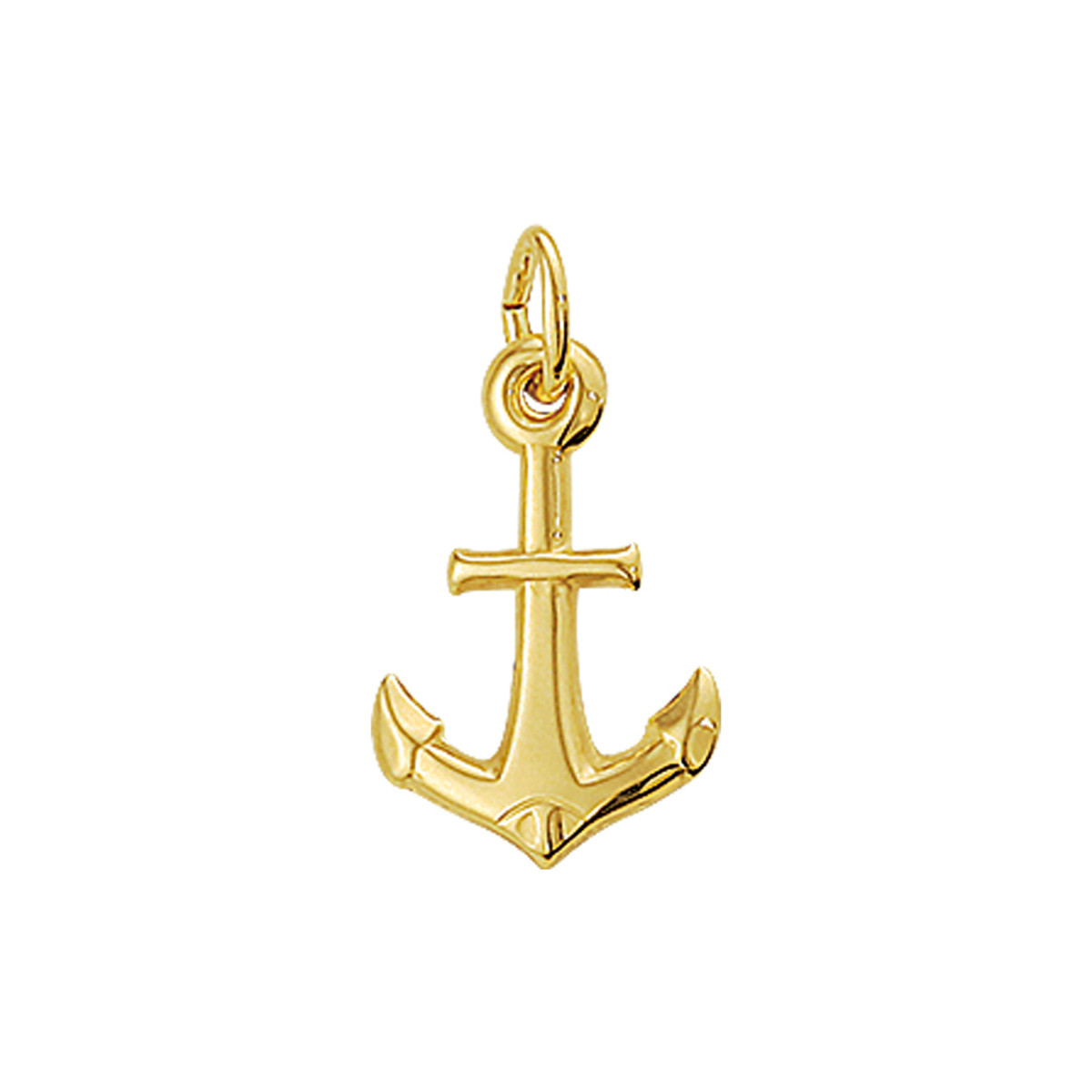 14-karaat gouden ankerhanger met glanzende look 10.5 mm breed - Hoogte 16.5 mm
