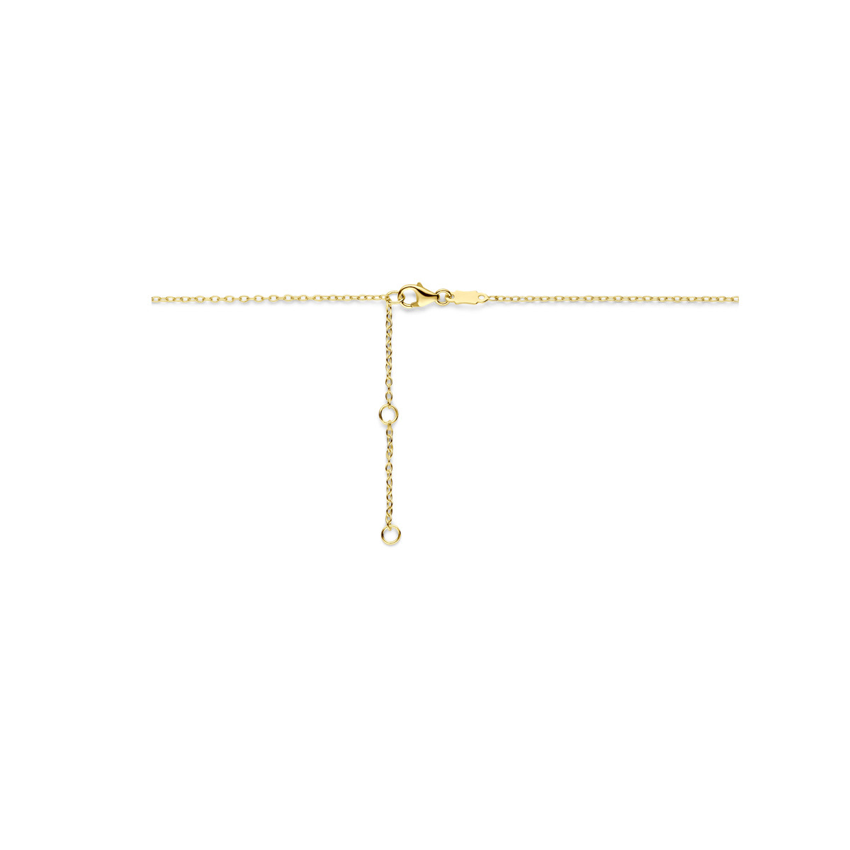 14-karaat gouden ankerketting met glanzende ovale elementen - Lengte 40-42-44 cm