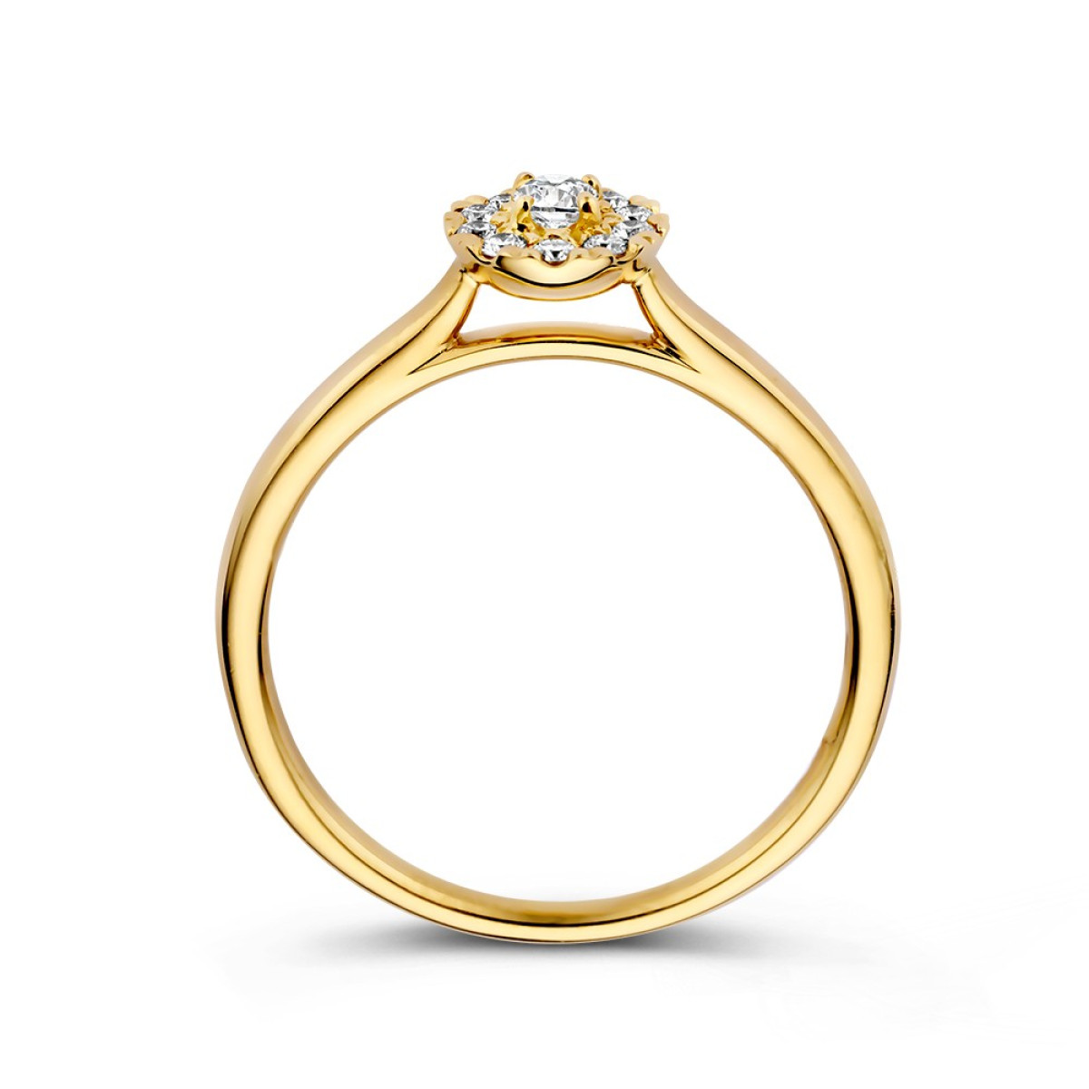 14-karaat gouden entourage ring met ovaal en briljant geslepen diamanten van 0.21 crt