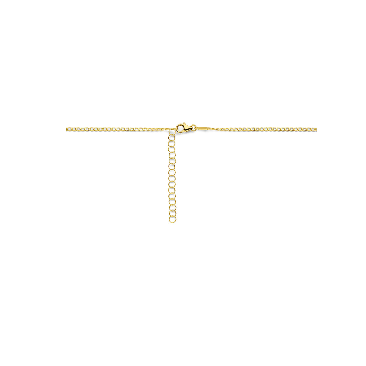 14-karaat-gouden graveerbare ketting met drie plaatjes van 1.6 mm - Lengte 41-45 cm
