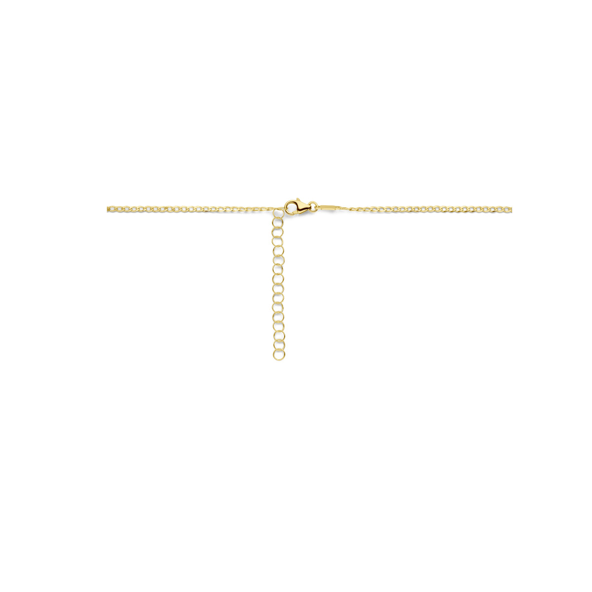 14-karaat gouden graveerbare ketting met een plaatje van 1.6 mm - Lengte 41-45 cm