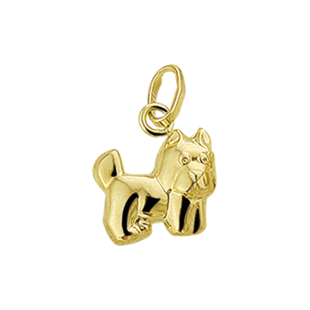 14-karaat gouden hanger met schnauzer hond - 10 x 9 mm