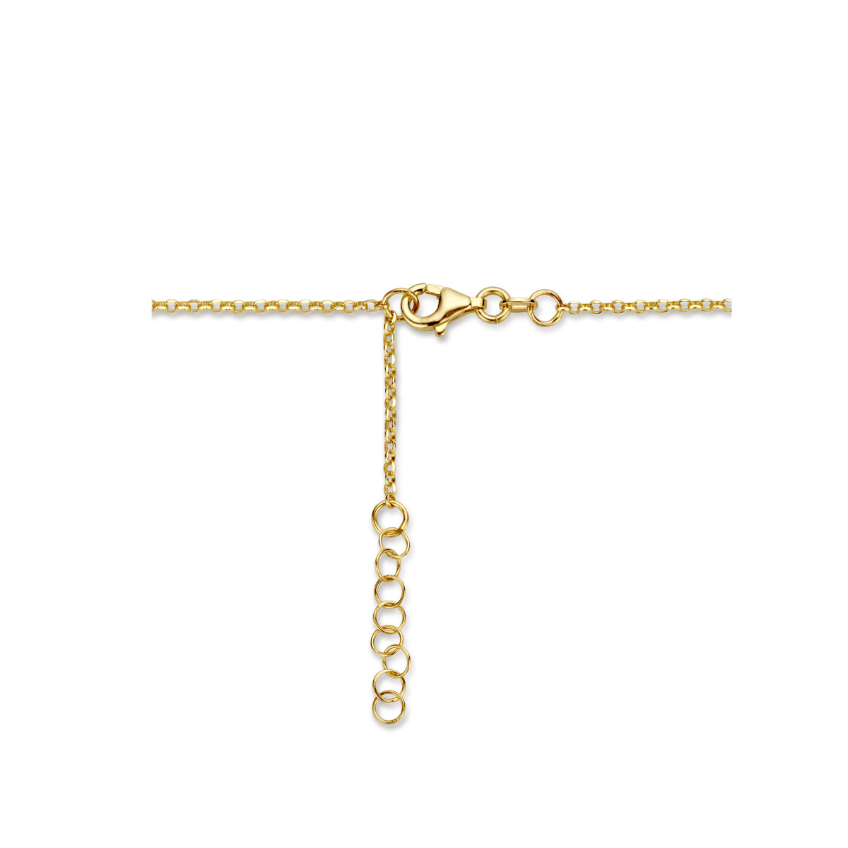 14-karaat gouden ketting met jasseron en paperclip schakel - Lengte 42 + 2 cm