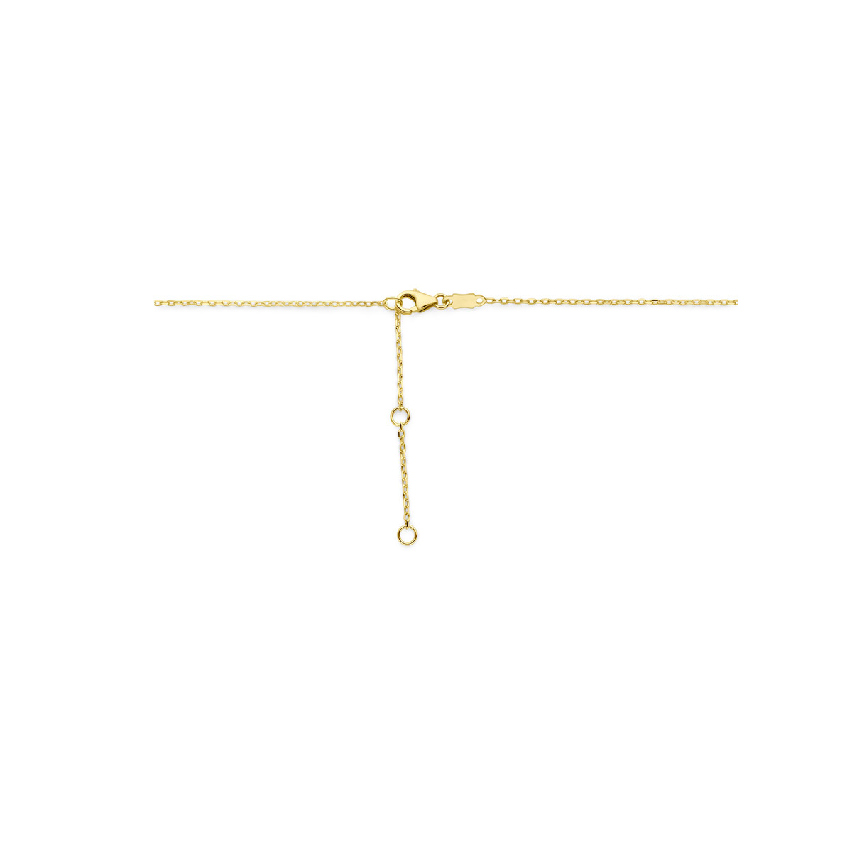 14-karaat gouden ketting met ovale hanger 9 mm x 12 mm - Lengte 41-43-45 cm
