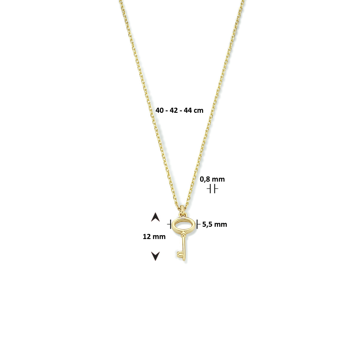 14-karaat gouden ketting met sleutel