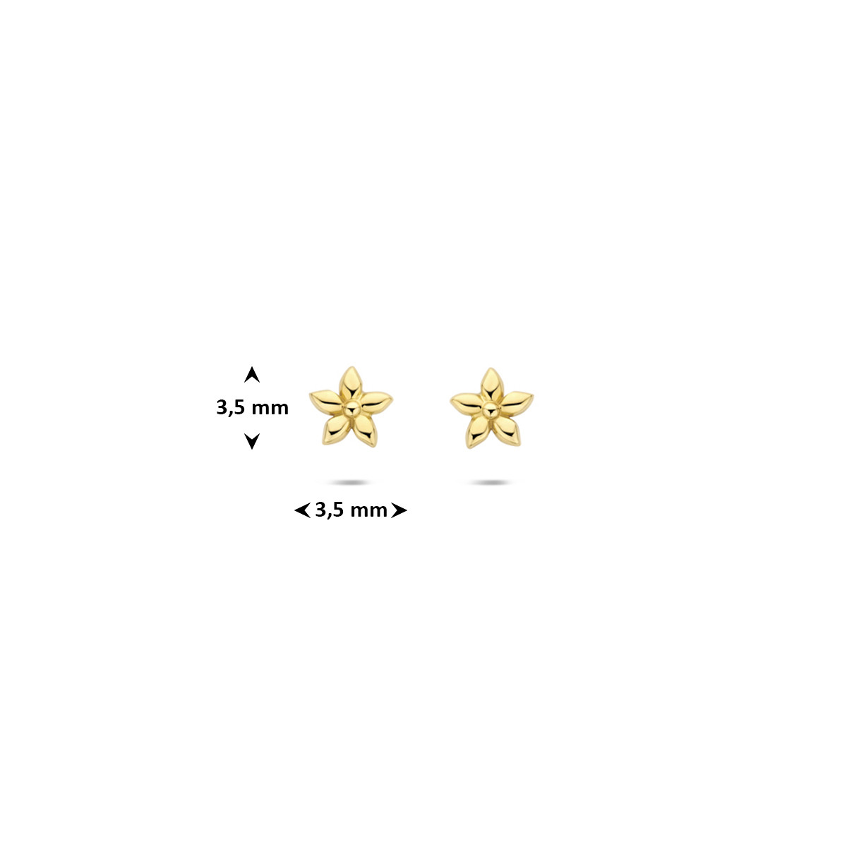 14-karaat gouden oorknopjes met bloem glanzende afwerking 3.5 mm breed - Hoogte 3.5 mm