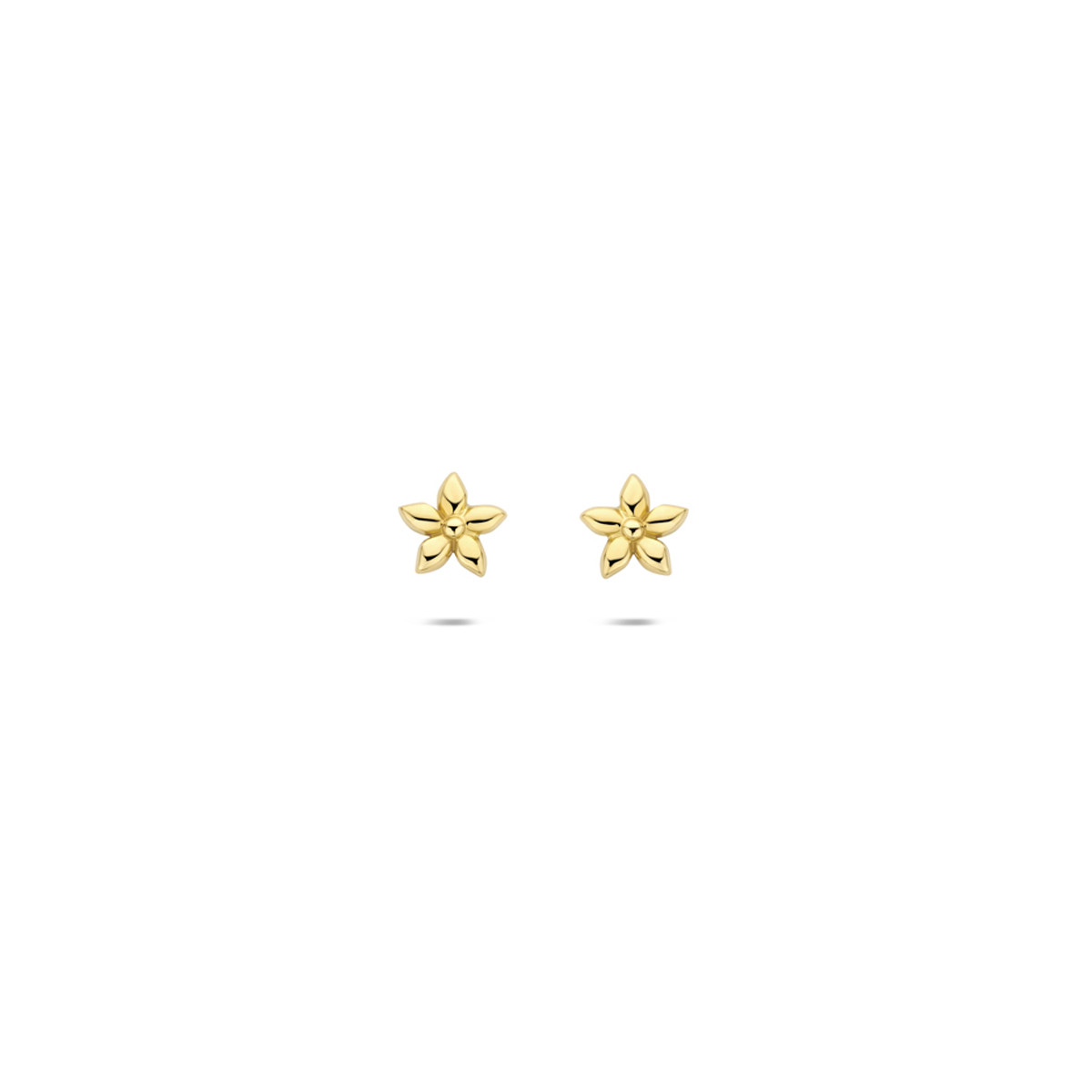 14-karaat gouden oorknopjes met bloem glanzende afwerking 3.5 mm breed - Hoogte 3.5 mm