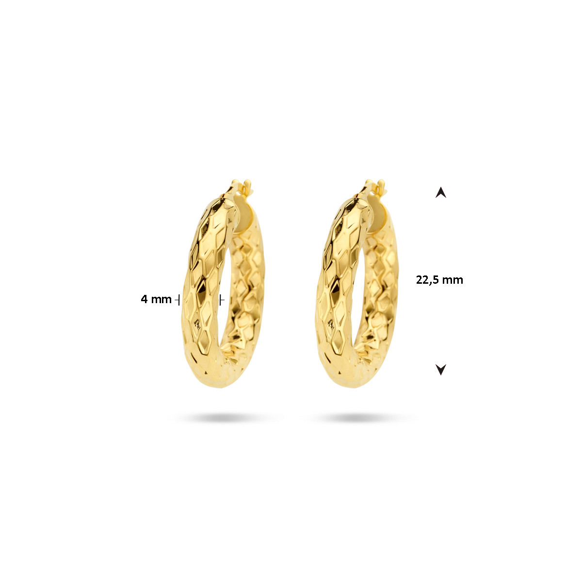 14-karaat gouden oorringen met geschubde bewerking 4 mm breed - Diameter 22.5 mm