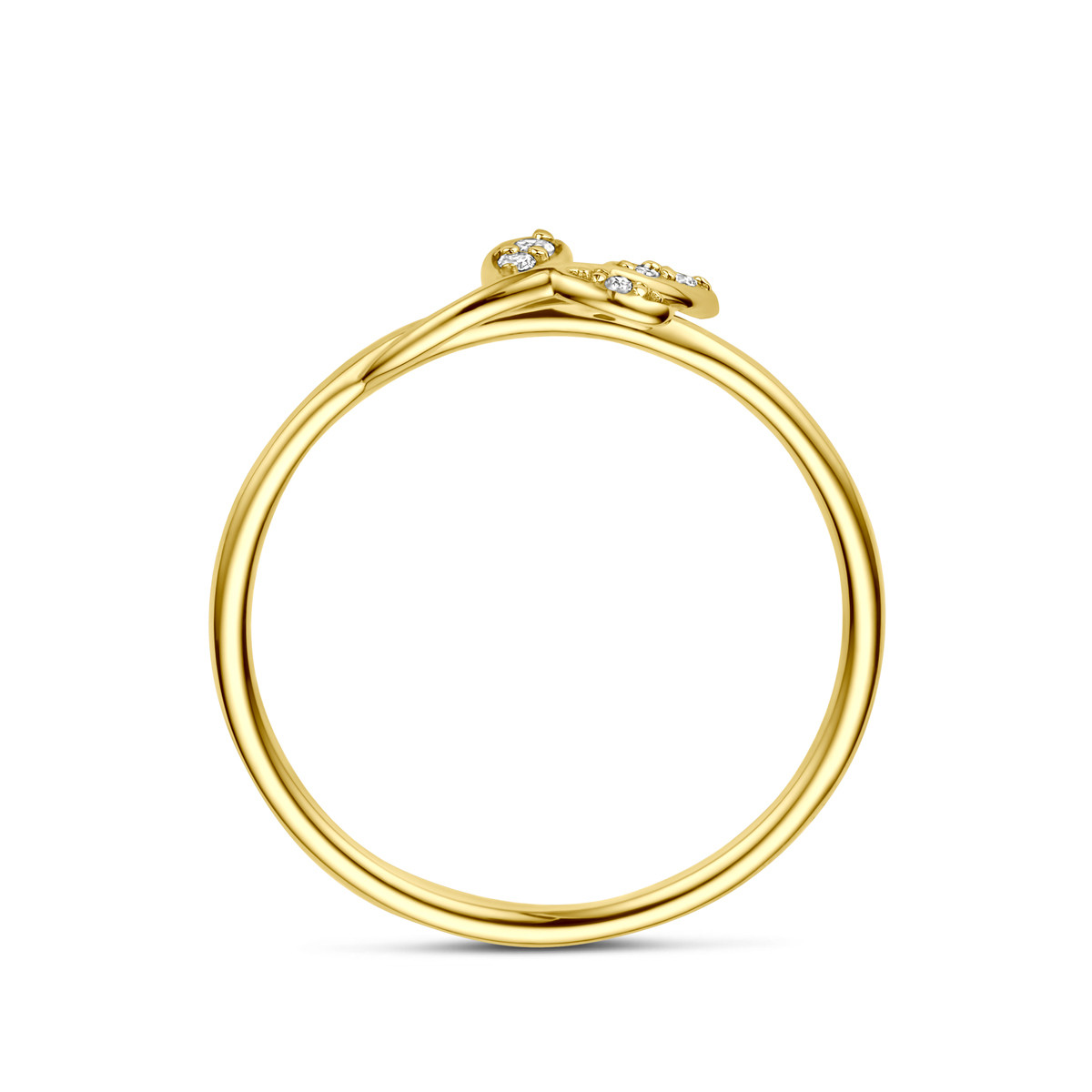 14-karaat gouden ring met bladeren van diamanten 0.03 crt en 5.5 mm breed