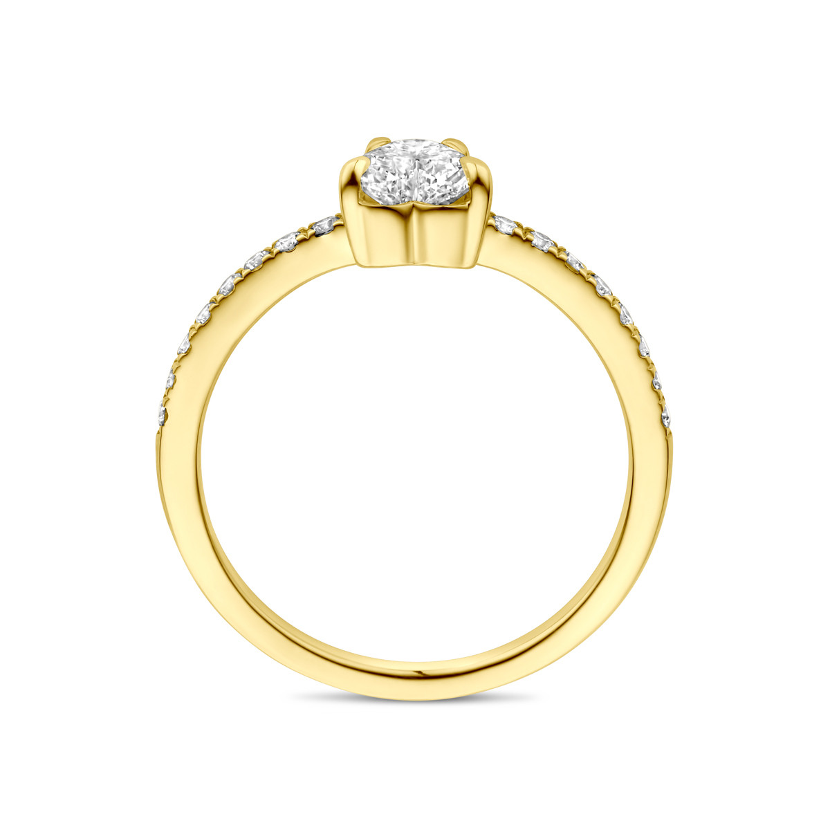 14-karaat gouden ring met hart lab grown diamant en rij 0.665 crt 5.5 mm breed
