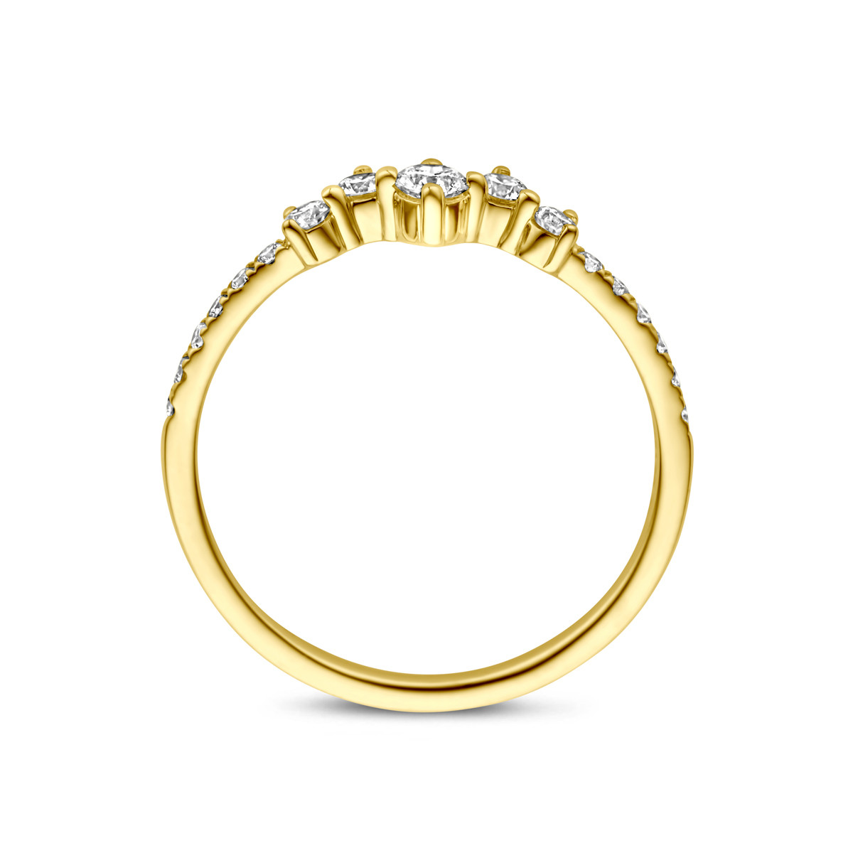 14-karaat gouden ring met lab diamanten diverse groottes 0.33 crt 4.5 mm breed