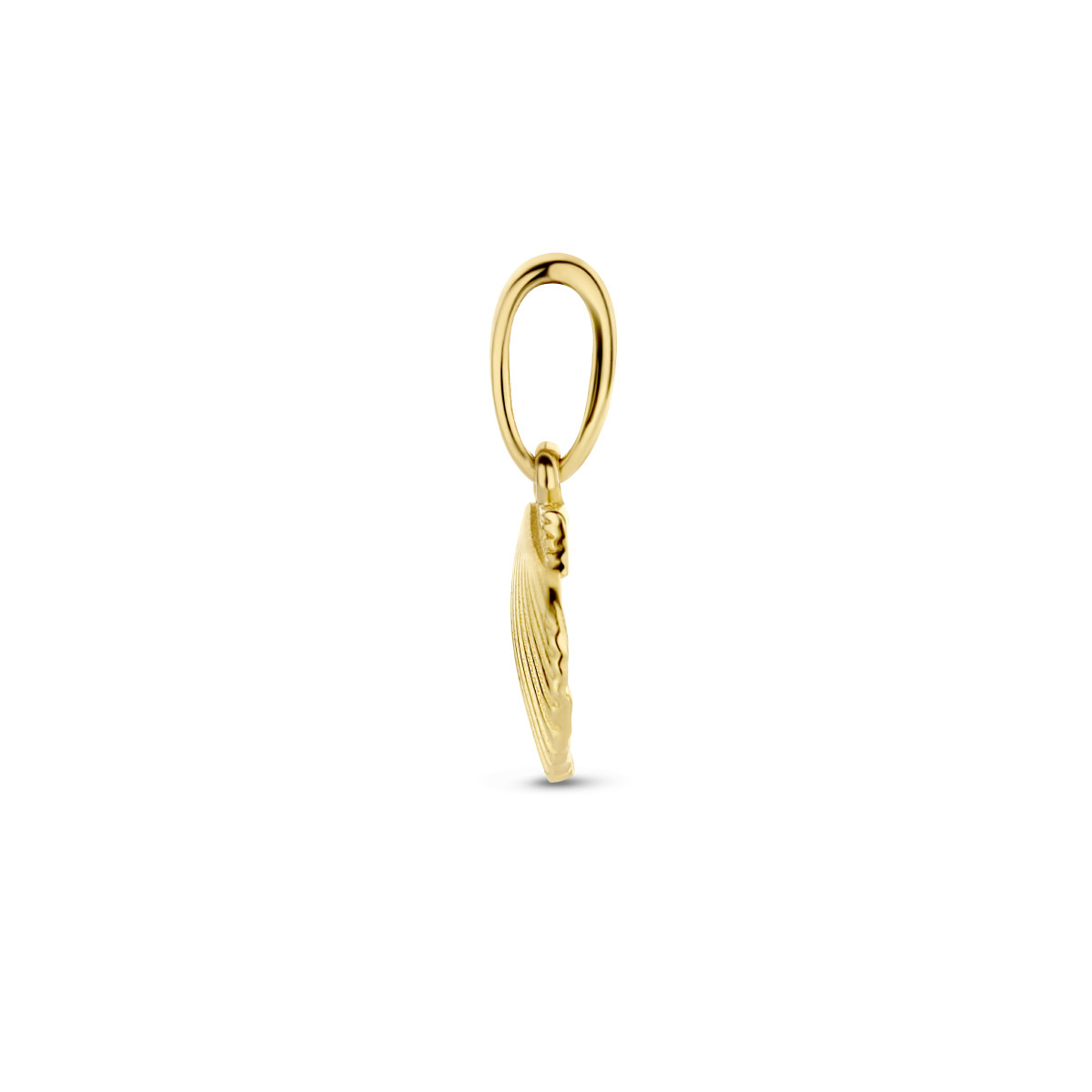 14-karaat gouden schelp hanger